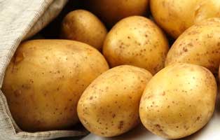 La sagra della patata torna ad Angri