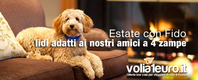 Hotel per il nostro animale domestico