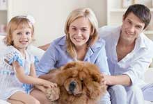 Estate con Fido: lidi adatti ai nostri amici a 4 zampe