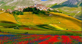 castelluccio