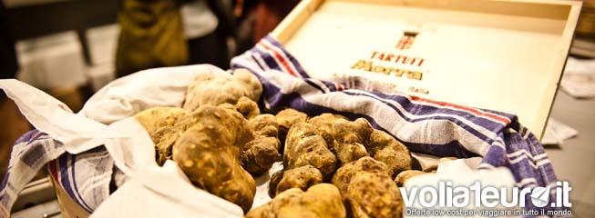 tartufo-di-alba
